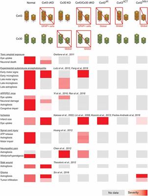 Beneficial and Detrimental Remodeling of Glial Connexin and Pannexin Functions in Rodent Models of Nervous System Diseases